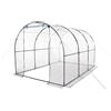 VERDELOOK Serra per orto a tunnel con telo trasparente in PVC, 200x300x180 cm
