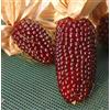 GHINO DI TACCO SEMI MAIS FRAGOLA