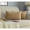 GIRASOLE HOME Coppia Federe Cuscini in Velluto Per Divano e Letto Copricuscini Antiacaro e Ipoallergenico Arredamento Casa con Zip Invisibile 2 pezzi (30x50cm, Beige)