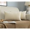 GIRASOLE HOME Coppia Federe Cuscini in Velluto Per Divano e Letto Copricuscini Antiacaro e Ipoallergenico Arredamento Casa con Zip Invisibile 2 pezzi (30x50cm, Panna)
