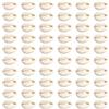 TOAOB THE ONE AND ONLY BABY TOAOB 200 Pezzi Perline di Conchiglia Decorative Naturale Grandi 15mm a 17mm Beige Ovali Conchiglie di Mare Ciondoli per Gioielli Decorazione Casa Bigiotteria Artigianale