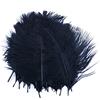 Alnicov 20 Pezzi di Piume di Struzzo Naturali 15 cm-20 cm Piume di Piume Fai da Te per la Decorazione della tavola della Festa Nuziale in casa (Nero)