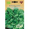 Germisem Biologico Winter Giant Semi di Spinaci 5 g