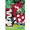 Germisem Radish Mix Semi di Ravanello su Nastro da 6 m