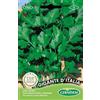 Germisem Gigante D'Italia Semi di Prezzemolo 10 g