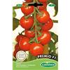 Germisem Premio F1 Pomodoro 20 Semi