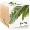 Feel Green Ecocube Palme, Idea Regalo sostenibile (100% Eco Friendly), Grow Your Own/Set di Coltivazione, Piante nel Dado in Legno, Made in Austria