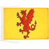 AZ FLAG Bandiera Contea di Somerset 45x30 cm Poliestere 100D Cordini | Uso interno ed esterno bandiera decorativa del Contea di Somerset doppie cuciture e bordi rinforzati