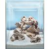 sera 32334 Hardscape Africa ottimale per 64 l Scaper Cube - Pietre e Fondo per acquari a Tema Africa