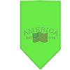 Mirage Pet Products Mirage Classic American Strass Dog Bandana, grande, verde lime