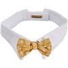 Croci C5174161 Collare Pina Colada, L - 30 g