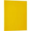 Blau Aquaristic Porta 6236 Giallo Lucido 4000 g