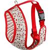 Arppe 196210030543 Arnés Acc Plus