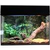 Lucky Reptile - Starter Kit per ragni e scorpioni 50 cm - Set completo con terrario per tarantole - Kit terrario di qualità e accessori da principianti - Starter set ragni e scorpioni nero