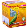 Lucky Reptile Bright UV Bird - Lampada a vapori Metallici 70 W per portalampada E27 - Lampada da Uccelli con Spettro di Luce Solare - Lampada Termica Raggi UVA e UVB - Senza intermittenze
