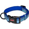 Company of Animals Collare Comfort HALTI - Cinghia regolabile con imbottitura in neoprene e tessuto 3M catarifrangente. Nylon di qualità. Leggero e ideale per cuccioli e cani piccoli (Taglia XS, Blu)