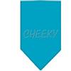 Mirage Pet Products Mirage Cheeky - Bandana con strass, misura piccola, colore: Turchese