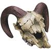 Nobby da Skull acquario decorativo, 17.5 x 16 x 9.5 cm
