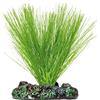 ICA AP1114 Miriophyllium di Aquatic Plants