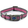 Ancol Rosa e grigio realizzato con colletto, taglia 5-9 (collo di cane 45-70 cm)