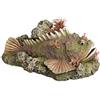 Nobby 28559 Aqua Ornaments pietra Pesce con piante