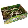 Lucky Reptile Life Experience Deco Set Mantis
