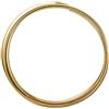 Vaessen Creative Filo di Ferro Modellabile Piatto da 2,5 m x 1 mm x 1 cm Light Gold - Filo Flessibile per Creazioni Floreali, Realizzazione di Gioielli e Modellismo