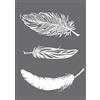 Rayher 4504000 Stencil: piume, Stencil riutilizzabile per serigrafia, adulto, viola, A5, 1 pz.