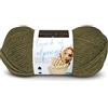 Lion Brand Yarn Company 674-132 Touch of Alpaca Filato, Oliva, Miscela Acrilica, Una Matassa
