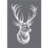 Rayher 45062000, stencil, stampo per pittura, a forma di alce, DIN A5, fai da te, scrapbooking, con raschietto incluso, 1 pz