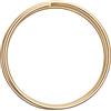 Vaessen Creative Filo di Ferro Modellabile da 2 m x 4 mm Light Gold - Filo Flessibile per Creazioni Floreali, Realizzazione di Gioielli e Modellismo