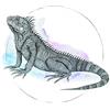Komar WTD P077B-Poster ad Acquerello con Iguana, Stampa Artistica Senza Cornice, 40 x 50 cm, 40 x 50 cm (Larghezza x Altezza)