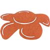 Petra's Bastel News Petra S Kit Creativo News a blf2904 - 16 50 x Mezzo Fiore 40 mm, Feltro Arancione