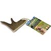 Arquivet Asta di gamo - S (<50 g) - Massaggiagengive Ecologico per Cani - Snack Naturali - Corna di cervidi - Salute Dentale Canina - Chuches, premi, premi dentali