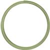 Vaessen Creative Filo di Ferro Modellabile Piatto da 5 m x 1 mm x 5 mm Apple Green - Filo Flessibile per Creazioni Floreali, Realizzazione di Gioielli e Modellismo