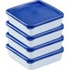 Westmark Set di 4 Contenitori per Congelare Alimenti, Con Coperchio, Capacità: 0,25 Litri Ciascuno, Impilabili, Plastica, Trio, Colore: Trasparente/Blu, 25042270