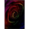 3dRose Asciugamano, White, 15 x 22 inch