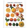 Nouvelles Images Nuove imagesaffiche 24 x 30 cm Agrumi/Citrus Fruit/zitrusfrüchte