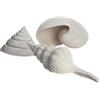 biOrb Shell Set 3 bianco