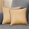 Komfortec Set di 2 federe in velluto, 40 x 40 cm, federe decorative, federe per cuscini per camera da letto, federa decorativa per cuscino da divano e divano, con chiusura lampo, colore beige