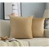 GIRASOLE HOME Coppia Federe Cuscini in Velluto Per Divano e Letto Copricuscini Antiacaro e Ipoallergenico Arredamento Casa con Zip Invisibile 2 pezzi (60x60cm, Beige)