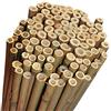 AlmaStore Canne di bambù Resistenti e Naturali - Canne Bamboo per orto, pomodori, Sostegno ortaggi - Bambu da Esterno - Arredamento (10 PZ, h.180cm / Ø18-20mm)