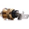 HELLA 6PT 009 107-691 Sensore, Temperatura olio, 12V, con guarnizione | Compatibile con: FORD GALAXY I, SEAT ALHAMBRA, IBIZA II, INCA, TOLEDO I, SKODA OCTAVIA I, OCTAVIA I Combi, VW BORA I
