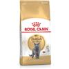 Royal Canin British Shorthair Adult | 400 g | Alimento Secco specifico per Gatti British Shorthair Adulti | A Partire da 12 Mesi di età | per la Protezione delle Ossa e delle articolazioni