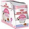 Royal Canin Kitten Instinvenge, Cat Food - Pacchetto di 12 x 85 gr - Totale: 1020 gr