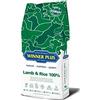 WINNER PLUS Lamb & Rice 100% 3 kg - Mono proteina da carne di agnello per cani esigenti