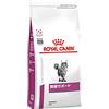 Royal Canin C-58290 Dieta Felina Renal - 500 gr