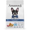 Amanova Cibo Secco per Cani Adulti di Taglia Media o Grande con Pelle o Pelo sensibile Gusto Agnello - 100% Naturale, ipoallergenico e monoproteico - Grain Free - Cruelty Free - Formato da 2 kg