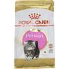 Royal Canin Persian Kitten 32 Dry Mix 400 g (Pack of 4)