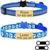 Uiopa 2pcs Collarino Gatto Antistrozzo + 2pcs Targhetta Cane con Incisione, Regolabile Collare Gatto Personalizzato con Fibbia di Sicurezzae Campana per Gattino e Cuccioli (Blu reale)